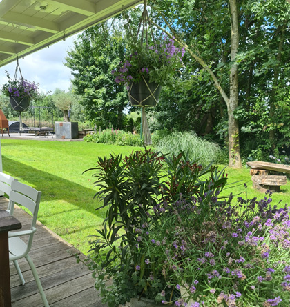 Compleet tuinonderhoud culemborg